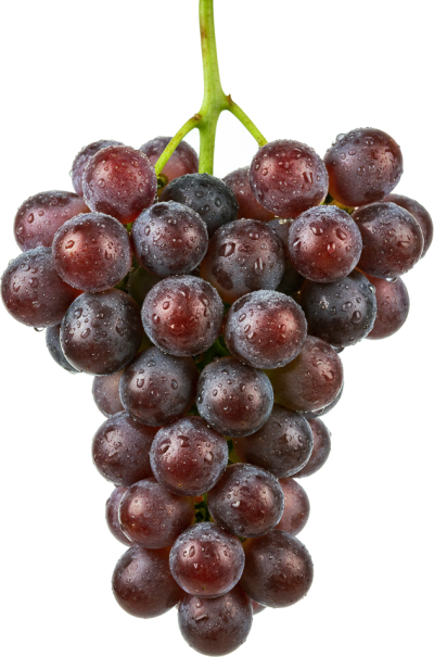 grapes